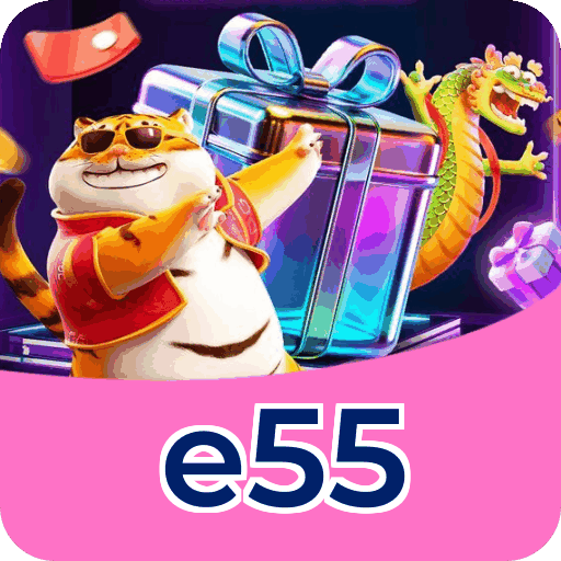 Segurança e55